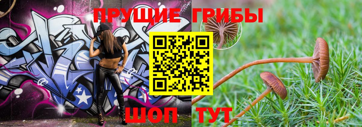 Ивантеевка  Псилоцибиновые грибы ЛСД  закладка  Псилоцибиновые грибы Magic Shrooms  Вход с VPN 